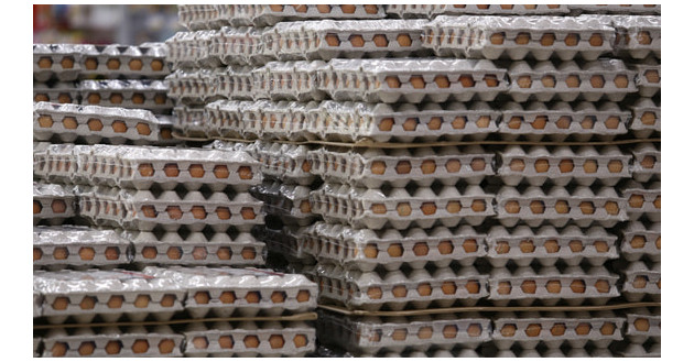 минсельхоз сообщил о снижении цен на яйца у российских производителей - фото - 1