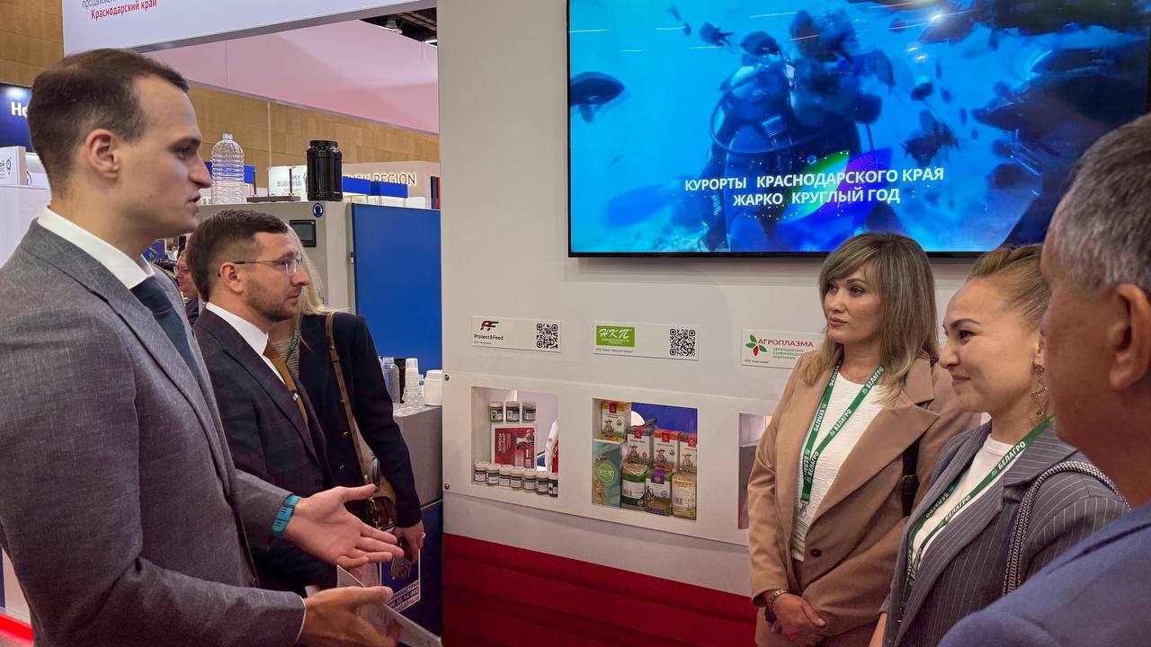 photo_5330229477659243082