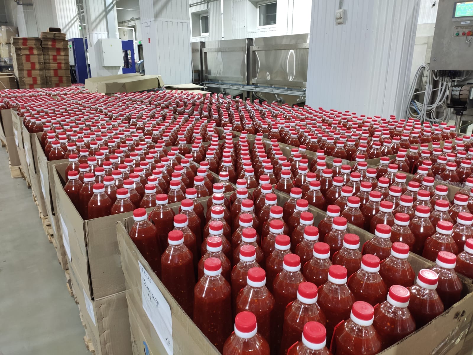 whatsapp-image-2025-17