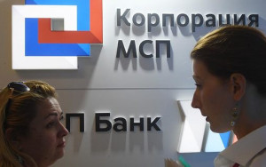 корпорацию МСП упрекнули в недостатке амбициозности - фото - 1