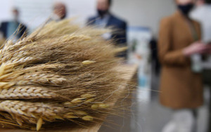 мировые цены на продовольствие в апреле достигли максимального значения с 2014 года - фото - 1