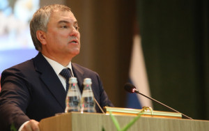 володин призвал выяснить причины роста поставок пальмового масла в Россию - фото - 1