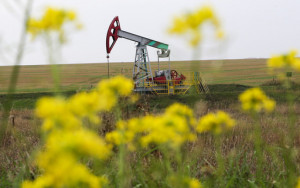 цена нефти Brent превысила $74 за баррель впервые с апреля 2019 года - фото - 1