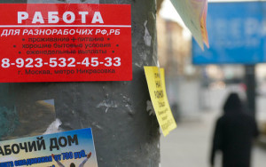 депутаты объяснили рекордную занятость господдержкой и оттоком мигрантов - фото - 1