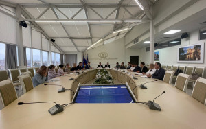 в Краснодаре прошло заседание Комитета по развитию внешнеэкономической деятельности - фото - 1