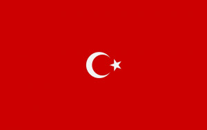 предприятия региона могут принять участие в международной консультации по вопросам экспорта в Турцию - фото - 2