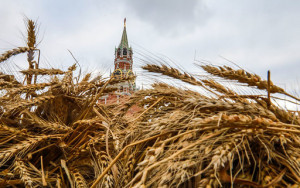 путин: Россия удовлетворит потребность в продовольствии партнеров по СНГ - фото - 1