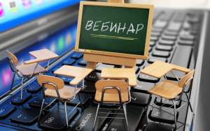 компании края могут принять участие в вебинаре РЭЦ - фото - 1