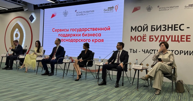 в Краснодарской агломерации работают почти 40% малого и среднего бизнеса Кубани - фото - 1