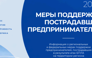 меры поддержки пострадавших предпринимателей - фото - 1